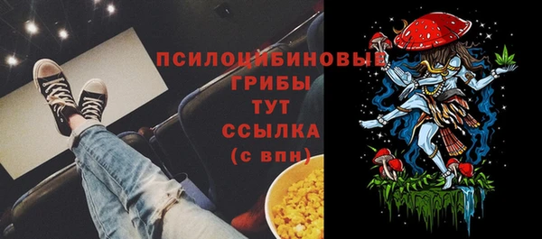 молекула духа Россошь