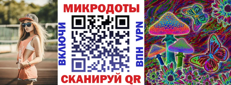 Галлюциногенные грибы Psilocybine cubensis  Суровикино 